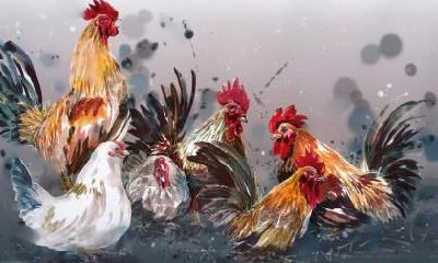 属鸡人2016年下半年开运指南