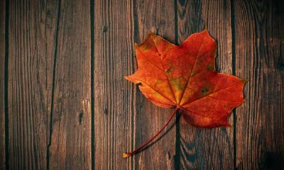 巨蟹座——十条与巨蟹座交往的规则，教你怎样与巨蟹座交往和睦