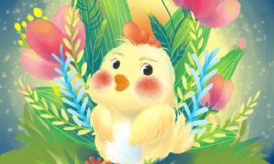 1993年属鸡的人2019年运势大全及破解