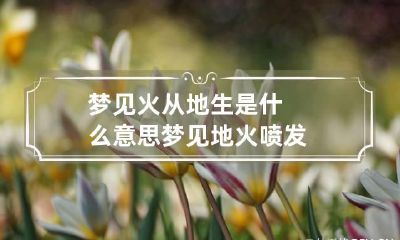 梦见火从地生是什么意思 梦见地火喷发