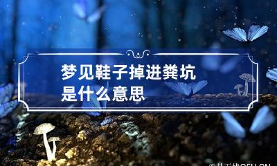 梦见鞋子掉进粪坑是什么意思