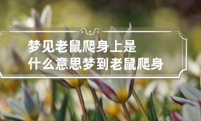 梦见老鼠爬身上是什么意思 梦到老鼠爬身上是什么意思