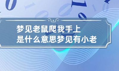 梦见老鼠爬我手上是什么意思 梦见有小老鼠爬我手上
