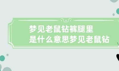 梦见老鼠钻裤腿里是什么意思 梦见老鼠钻裤腿解梦