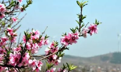 那一年，我发现了”灵魂“。