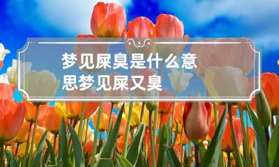梦见屎臭是什么意思 梦见屎又臭
