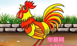 属鸡的今年多大2014