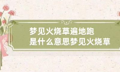 梦见火烧草遍地跑是什么意思 梦见火烧草堆什么意思?