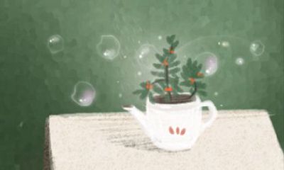 属兔和属鼠结婚竟是悲剧的开始？