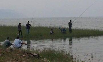 属蛇男人和属龙女人相配吗