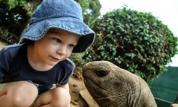 2023年2月2号出生武姓宝宝取名叫什么