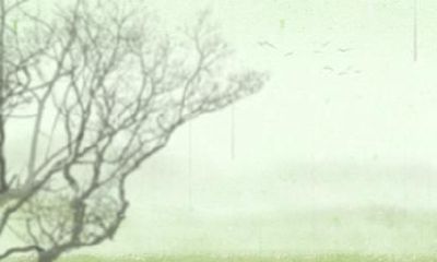 1998属虎人2021年运程 全年运势分析