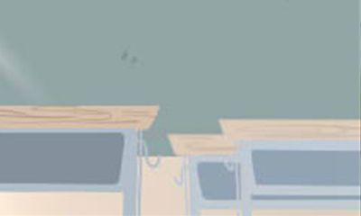 物以类聚 属兔人身边都聚集了什么人