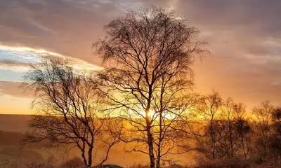 八字分析//有财、有官、有本事，这种人非常幸福