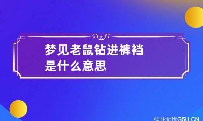 梦见老鼠钻进裤裆是什么意思