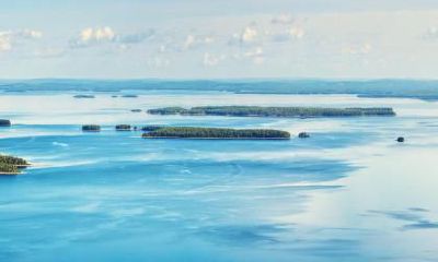 2022年7月出生虎宝宝五行属性，属虎取名字什么字最好