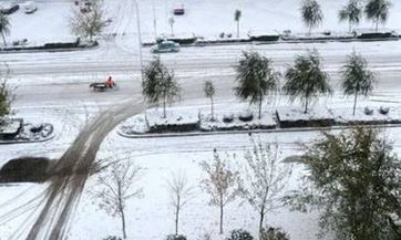 苏珊米勒12星座今日运势（8月25日）