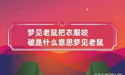 梦见老鼠把衣服咬破是什么意思 梦见老鼠咬住衣服
