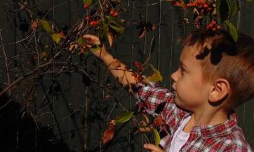 姚姓男孩名字2023年7月31日出生的