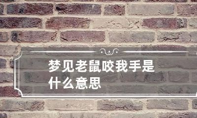 梦见老鼠咬我手是什么意思