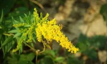 立冬就是冬至吗 立冬和冬至是一个节气吗