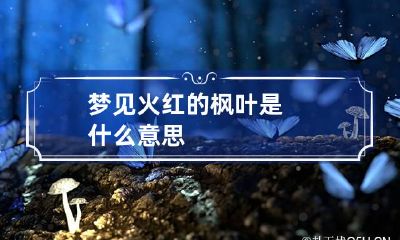梦见火红的枫叶是什么意思