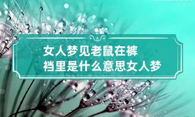 女人梦见老鼠在裤裆里是什么意思 女人梦见老鼠在自己的裤兜里什么征兆