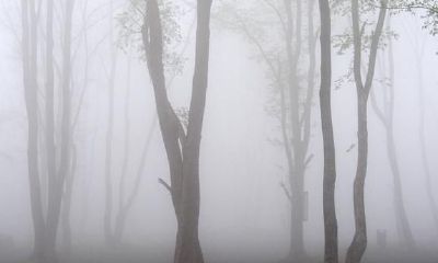 梦到下列梦镜，预兆着你的运程会出现非常大变化