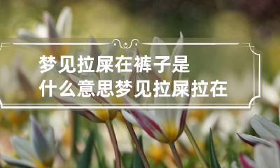 梦见拉屎在裤子是什么意思 梦见拉屎拉在裤子里佛滔