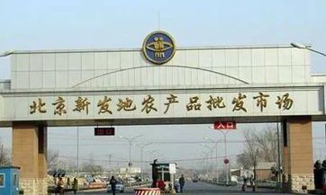 十二生肖男生说啥易惹怒女友