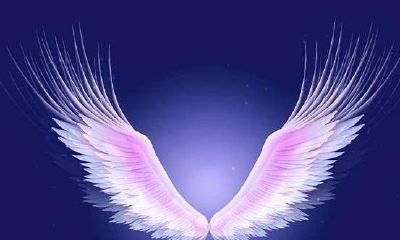 心理测试：4双翅膀，你最想拥有哪双？测你2020年会收获什么