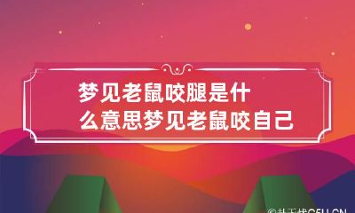 梦见老鼠咬腿是什么意思 梦见老鼠咬自己腿是什么意思