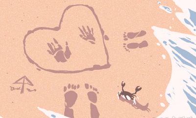 属虎的人的婚姻与命运