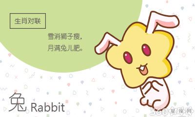 单身和恋爱状态相比 生肖兔觉得哪个好