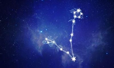 2021十二星座运程预测③双鱼座：财源滚滚，有利于扩展新工作