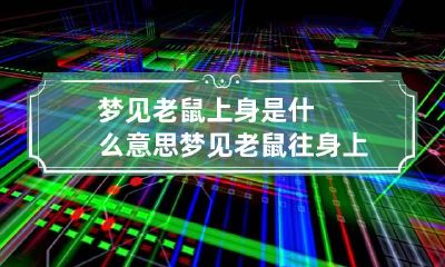 梦见老鼠上身是什么意思 梦见老鼠往身上爬是何征兆