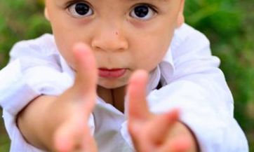 姓苗的明星有哪些