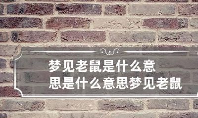 梦见老鼠是什么意思是什么意思 梦见老鼠是什么意思 - 星座屋