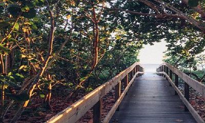 2022年犯太岁的身上佩戴哪些辟邪化灾