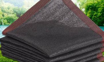 从3月18日开始 运势如虹 会喜气洋洋 凤凰于飞的四大生肖