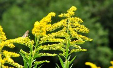 清明节前剪头发好吗