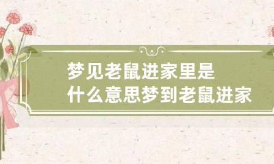 梦见老鼠进家里是什么意思 梦到老鼠进家里是什么预兆
