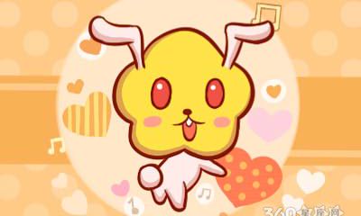 属兔人在哪方面不爱花时间花精力