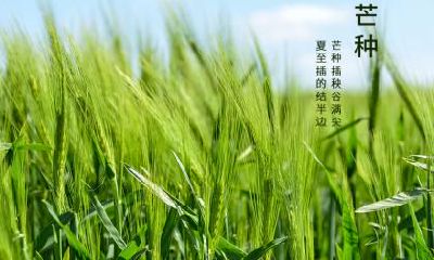 不同年份的生肖虎在芒种节气出生命理解析