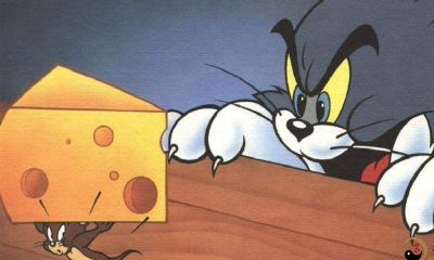 梦见老鼠变为人