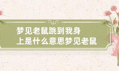 梦见老鼠跳到我身上是什么意思 梦见老鼠跳到我身上是什么意思呀