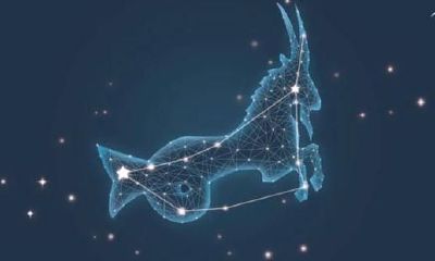 2021十二星座运程预测①摩羯座：财气，请把握好一个“度”