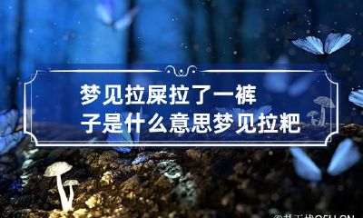 梦见拉屎拉了一裤子是什么意思 梦见拉粑粑拉了一裤子