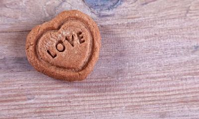 天蝎自尊很强，她们想要让步，一定是因为太爱你，请好好珍惜