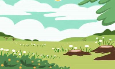 属兔人有什么道理后悔没有早知道？